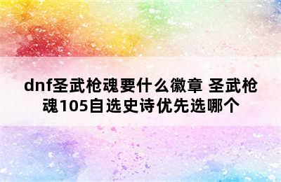 dnf圣武枪魂要什么徽章 圣武枪魂105自选史诗优先选哪个